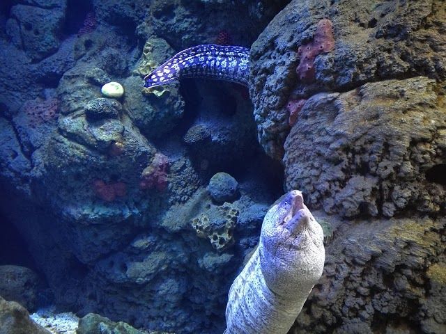 Centro de visitantes del parque nacional de Cabrera
